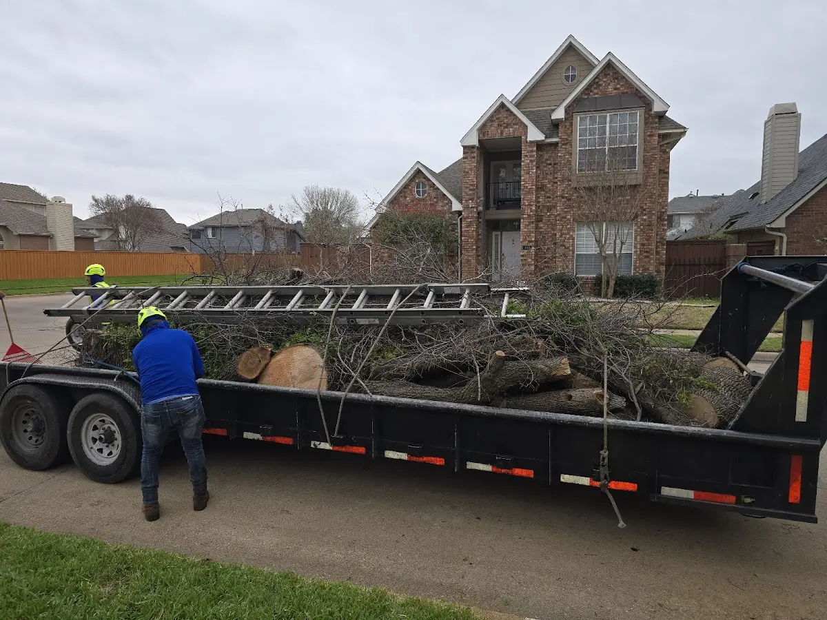 Expert Tree Fertilization with proper safety equipment in Ashland